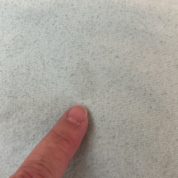 Disney Parks Light Green with Gray Sparkle Disneyworld Spirit Jersey Size Small - Picture 10 of 11